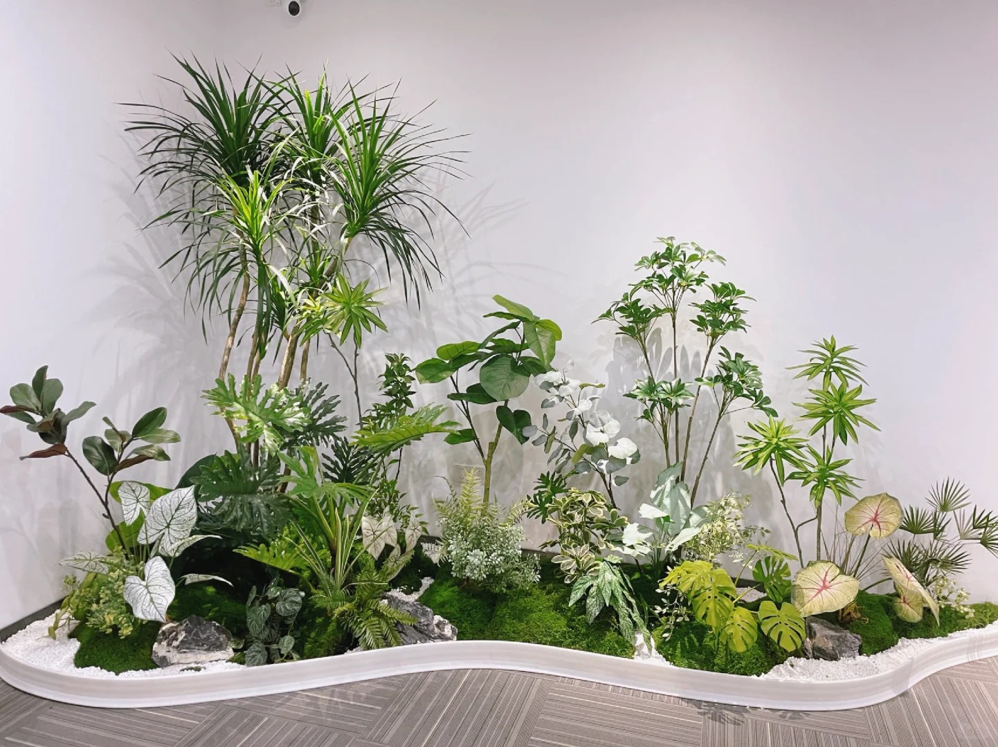 宁波绿植租摆折扣优化攻略，效果翻倍